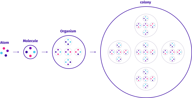Example of the atomic design map